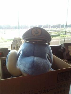 ||急行||ムラあに「🩵🍶」