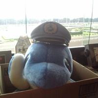 ||急行||ムラあに「🩵🍶」 (@murasis225) 's Twitter Profile Photo