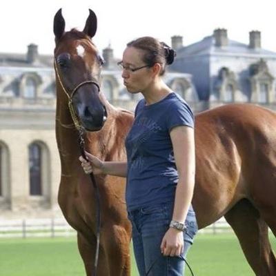 owner and breeder of one of the most beautiful creatures on earth: Arabian Purebred Horses!!! For more information you can always contact me.