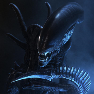 MollyXenomorph's profile picture. hacktivist, leader of Molly, if you want call me Xeno for short,