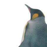しばらくエッチしてないから欲求不満なのさ(´･ω･`)エッチしたいって思ってる人いないの？