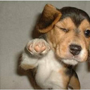 Doug Hamrick - @Chuck5292009 - Twitter