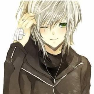 I'm a clone of Danny Phantom created by Vlad Masters, but I'm not a perfect clone because am more ghost than human. I also attend Casper High.