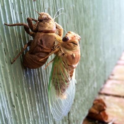 badrobot27's profile picture. 