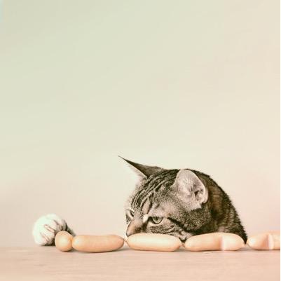 Pichy77802323's profile picture. 