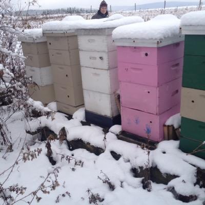 beekeeper, farmer, soccer dad, coach, youth supporter. believes in developing kids so they find their own path to enlightenment & happiness on or off the field