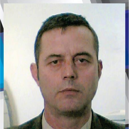 l_dingo's profile picture. 