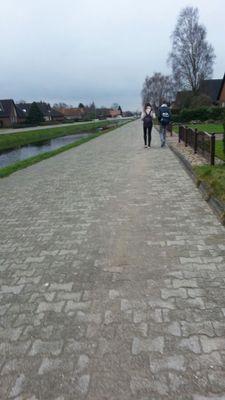 3cb38b44bc5a457's profile picture. 