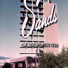 Moomi_Bear's profile picture. 