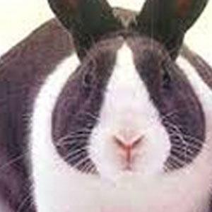 リアルで会う事がすぐにできない人でもいいけど、会う気がない人はお断り！