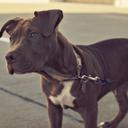 Morgan Prather - @MorganManley2 - Twitter