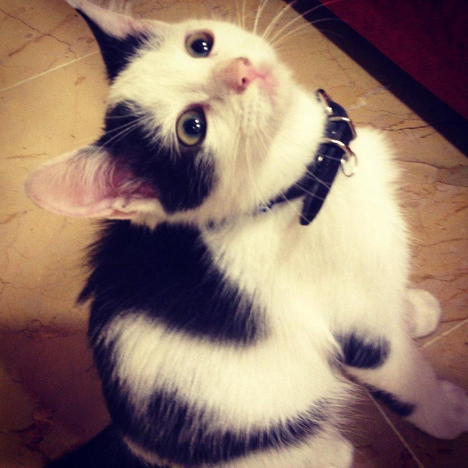 karyam58's profile picture. 