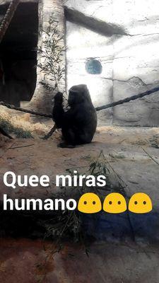 Criticar como estilo de vida juzgando lo bueno para que solo quede lo mejor