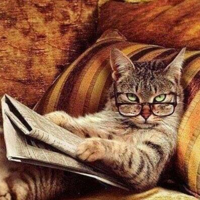 Sociology, inequality, health, welfare state, China.