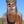 Bill Robertson (@billplumtree) profile picture