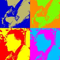 Andy Favell (@andy_favell) 's Twitter Profile
