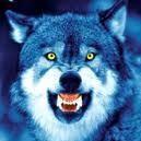 72Wolff's profile picture. Ik ben een joker eerste klas, heb een leuke vrouw en woon samen met haar in de achterhoek. Heb een zoon die aan het begin staat van zijn tiener jaren