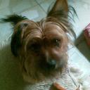 (-¦-) Muňøz (-¦-) (@11_4LB3RT_16) Twitter