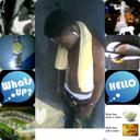 Okon David-Bassey - @Brownrendell - Twitter