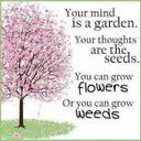 Linda Waldner - @LindaEWaldner - Twitter