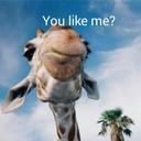 Kıŋɠ Ҡơცɛ - @coby_williams - Twitter