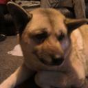 Casey Connell - @dstmason - Twitter