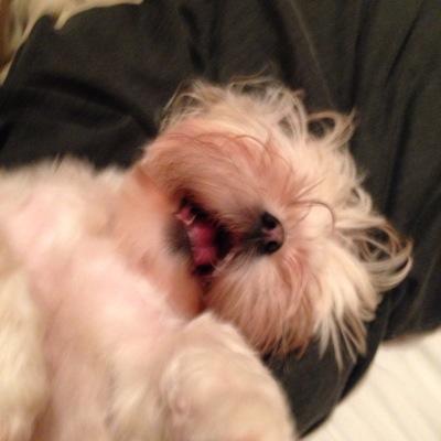 long_mitchel's profile picture. live life everyone is amazing even you. Have no regrets love your family kiss your mum and dad hold their hand while you still can do let anyone get you down