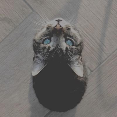 dont be sad!! you're as cute as a kitten!!