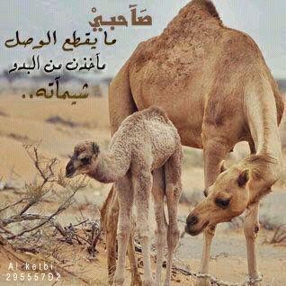 ‏‏حاجه داخلي تخاف تفقدك تخاف تكون بدُونك