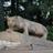 Penn State COMM 402