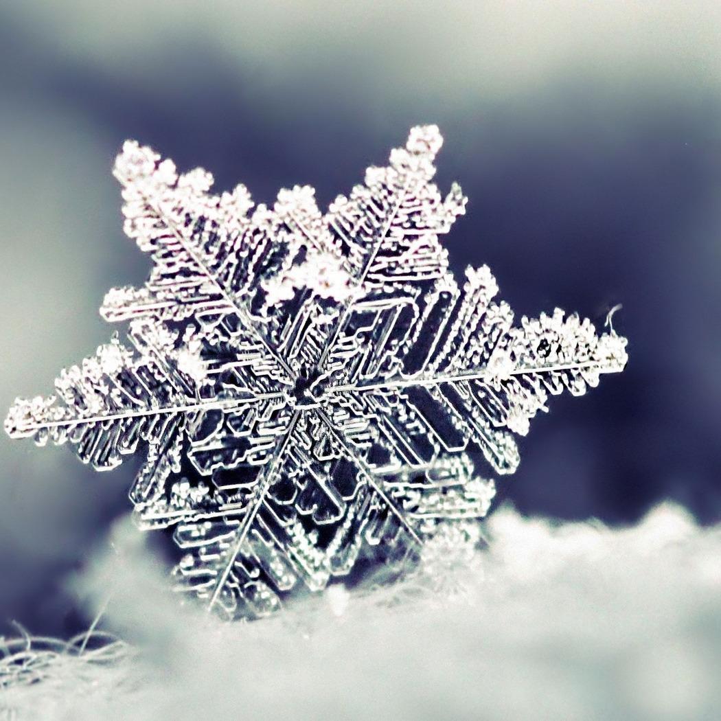 lee_starz's profile picture. 