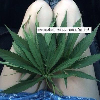 98Serkina's profile picture. 