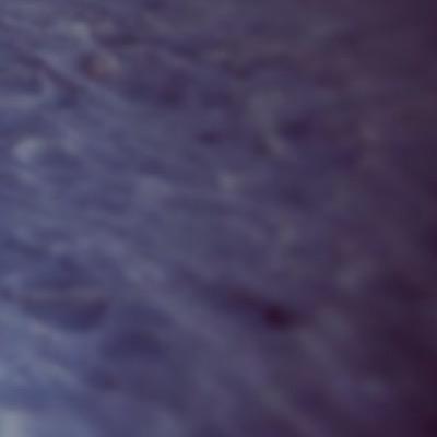 chiefswitch's profile picture. 