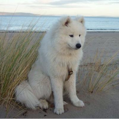 duckingling's profile picture. 