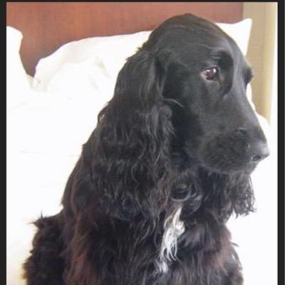 fabio_perez_'s profile picture. 