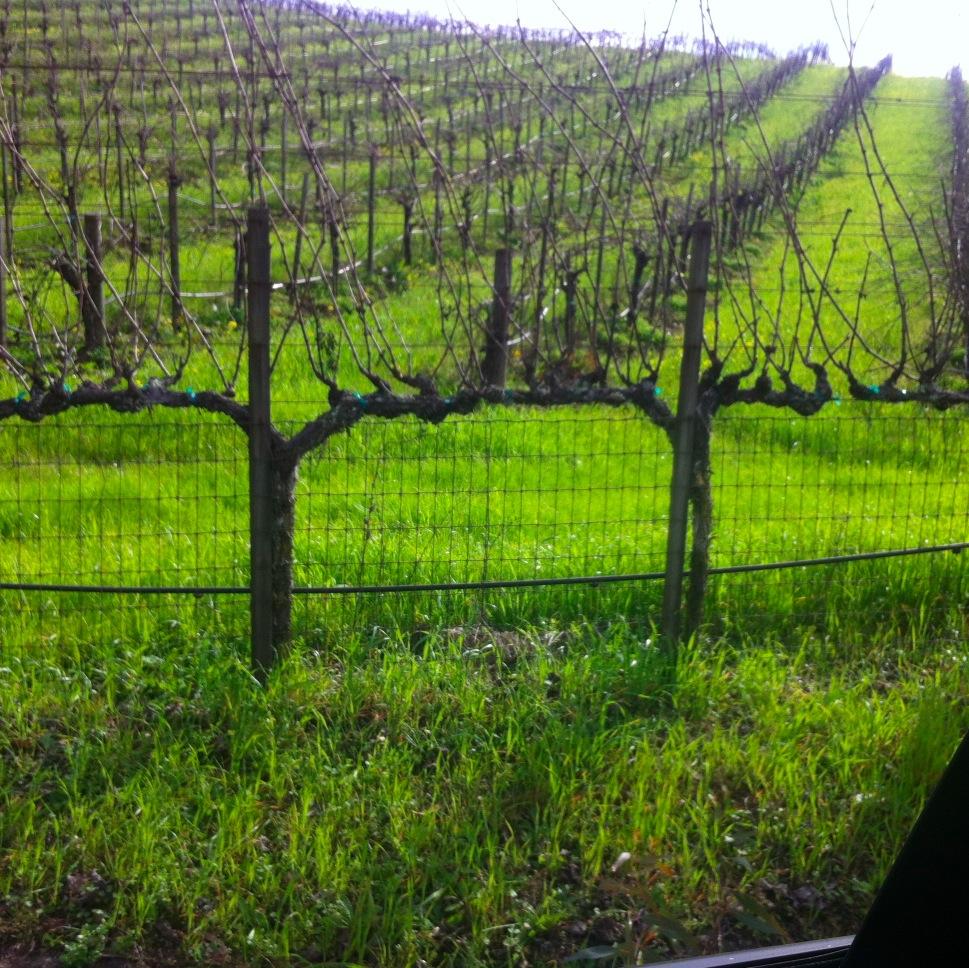 procuring professional partnerships for advertising sales, marketing, consulting and new business development in the travel. tourism, event & wine industries.
