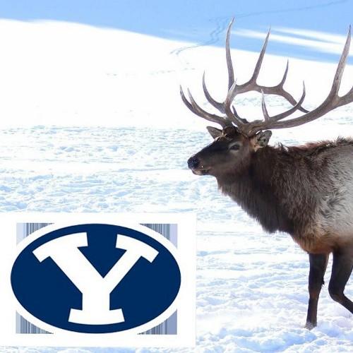 CPA, Business Executive.  Big game hunter.  I have good horses  and a good rifle.  I am an avid BYU fan.  I love my wife, my wonderful family and my faith.