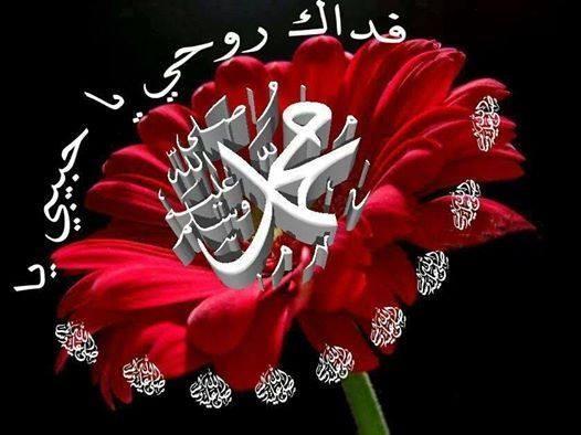 ‏لا اله الا الله محمد رسول الله