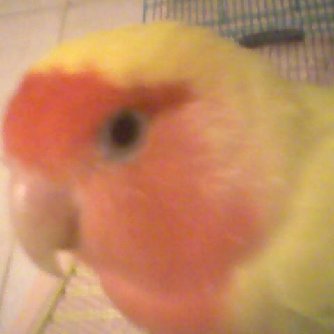 kirawin1's profile picture. 