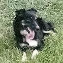 Kathy Sammons - @KatSammons - Twitter