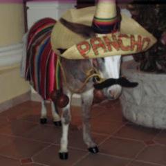 im a donkey