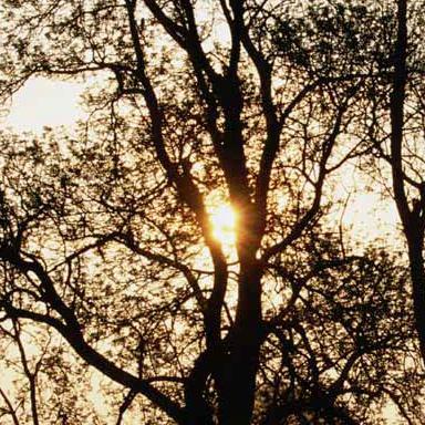 AmericaReBorn16's profile picture. Patriot Faithfilled Husband Father running for President2016.POTUSA45 Official Candidate of You Know Who!