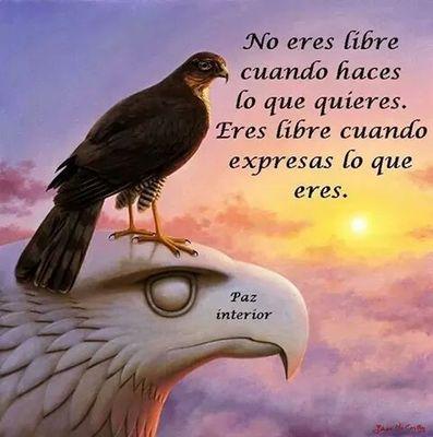 juliolascarro's profile picture. 