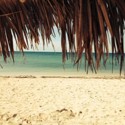 cavalierclaude's profile picture. 