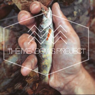 The Meadows Project