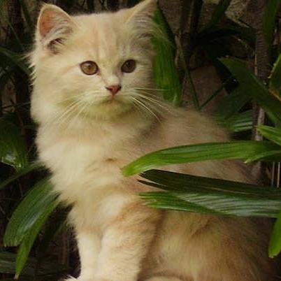 Pluviophile. Catlover. Love my life.