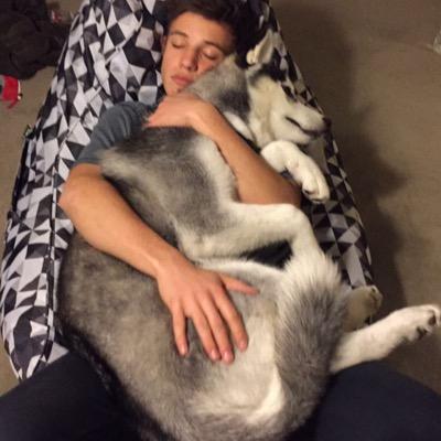 followsunrised3's profile picture. follow @sunrisedaIIas turn her notifications on and fav all her tweets for a dm to cameron dallas, nash grier and jack johnson :)