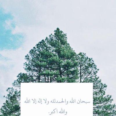 سبحان الله ، والحمدلله ولا اله الا الله والله اكبر ولا حول ولا قوة الا بالله ،اللهم صل وسلم على نبينا محمد