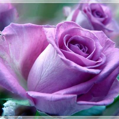 guatire3's profile picture. 