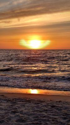 whited332's profile picture. 